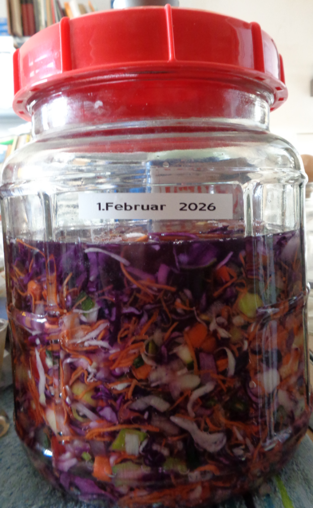 Fermentatiglas met de groentemix gevuld